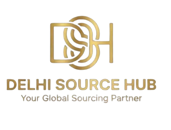 Delhi Source Hub Logo — Wholesale B2B Sourcing Partner
